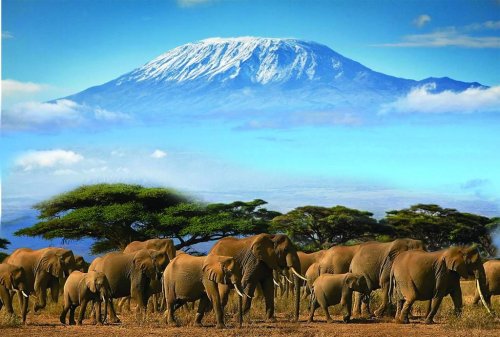 Best of Kenya - 6 Nights / 7 Days